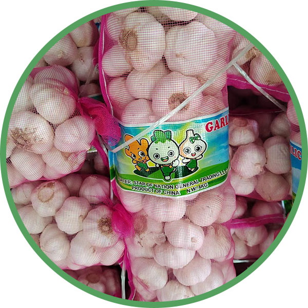 fresh garlic bulbs