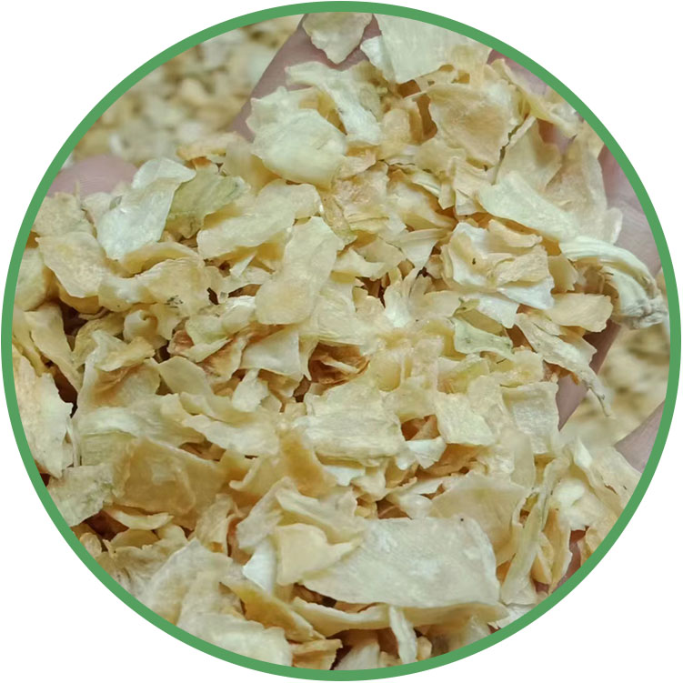 Dehydrated Onion