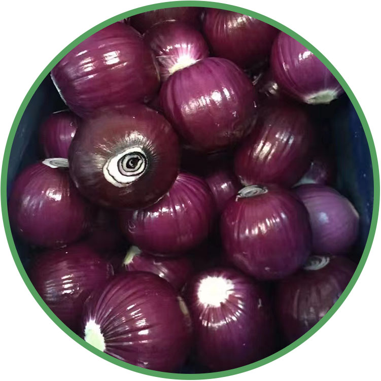 Peeled Red Onion