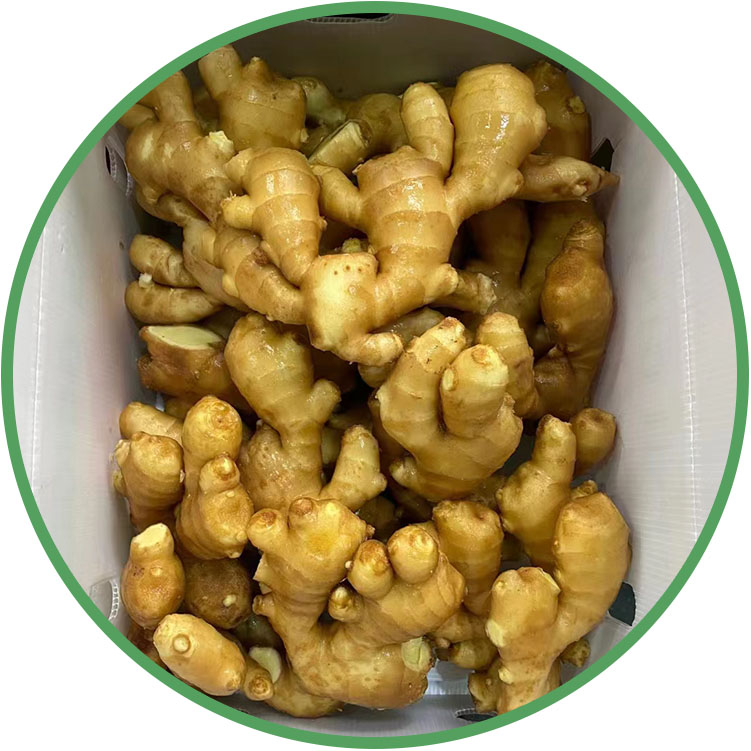 Fresh Ginger