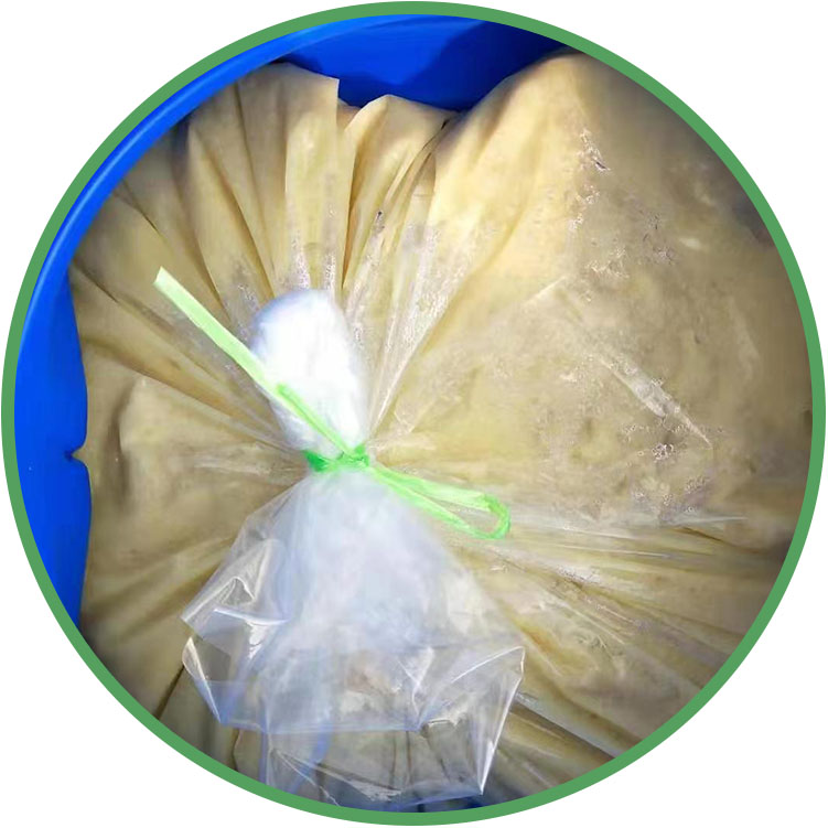 Fresh Ginger Paste