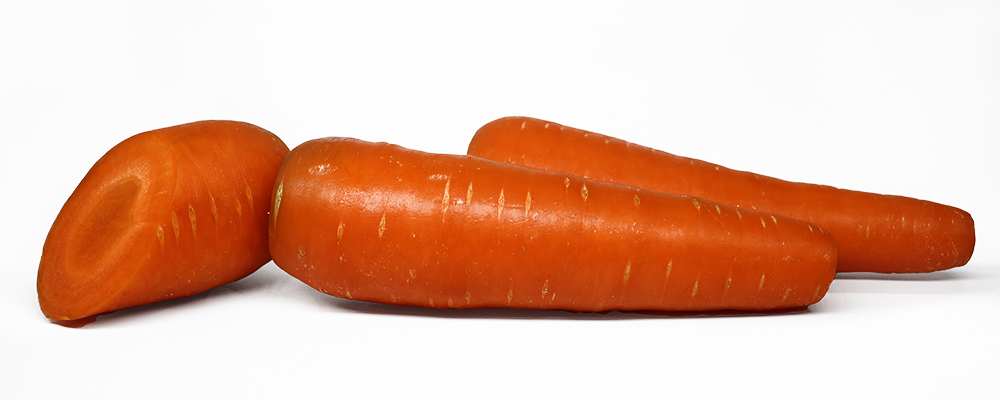Fresh Carrot Fresh Carrot