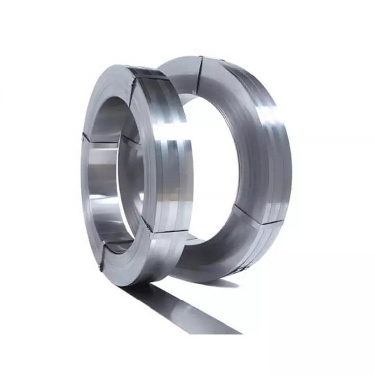Stainless Steel Strip
