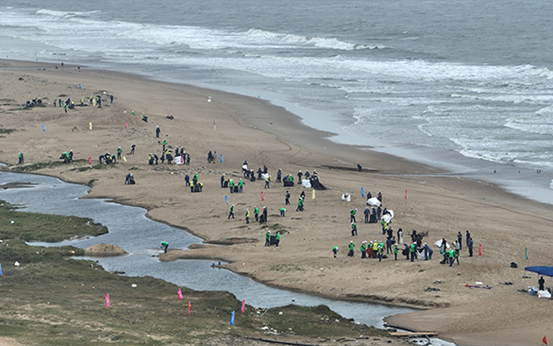 Protect marine ecology and build beautiful beaches together