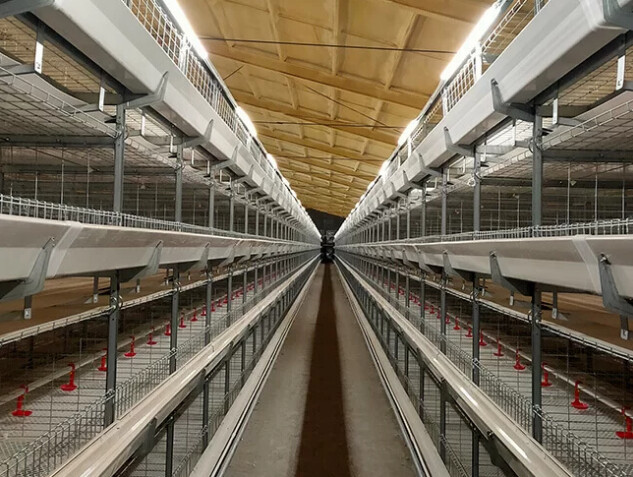 Types of broiler battery cage system in high temperature advantages this allows farmers to focus on other important aspects of farm management