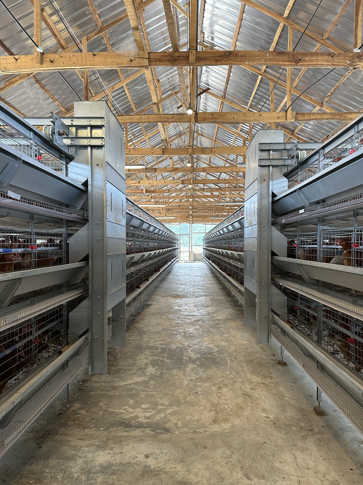What are the significant advantages of the  H frame pullet poultry automation system