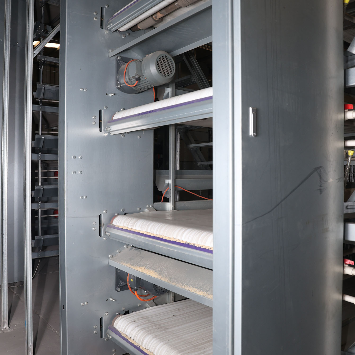A poultry cage farming system is a modern rearing method where chickens are housed in structured enclosures