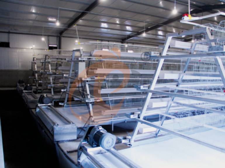Automatic A Frame Layer Chicken Cage For Sale