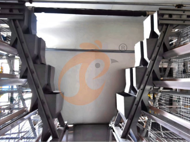 Automatic A Frame Young Layer Chicken Cage For Sale