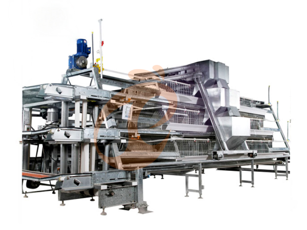 What Are The Common Problems Of A Type Poultry Battery Cages? 6 Easy Solutions