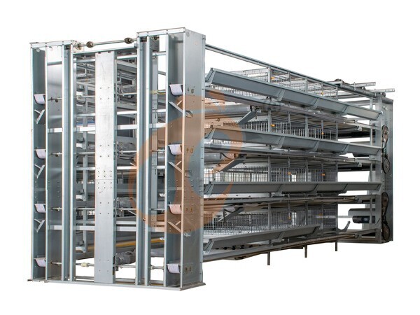 How To Reduce Poultry Farm Operational Costs: 6 Smart Strategies