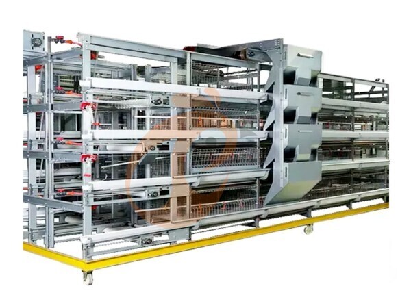 How To Reduce Egg Breakage In Layer Chicken Cages | 6 Proven Methods