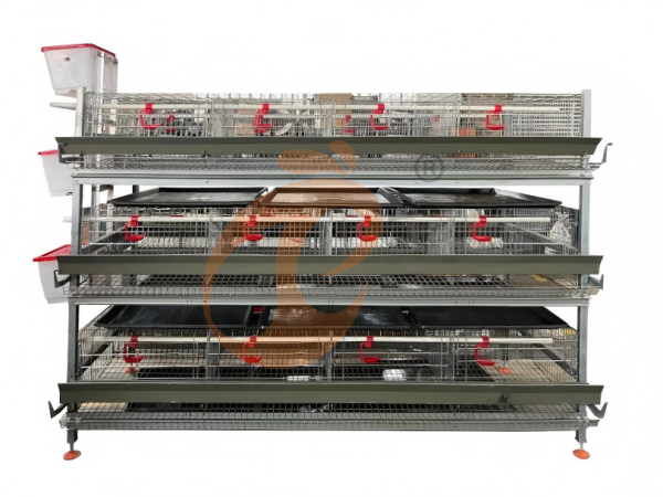 Layer Chicken Cage Installation | 7 Key Steps For Proper Setup