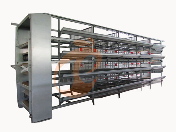 Imported Vs Local H Type Chicken Battery Cages: Which Offers Better Quality?