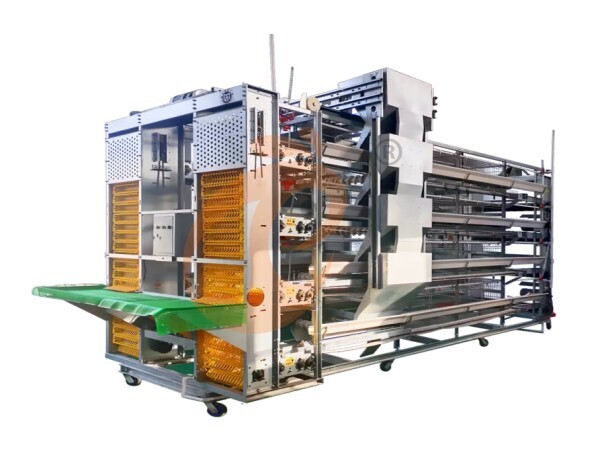How To Implement Sustainable Poultry Farm Expansion