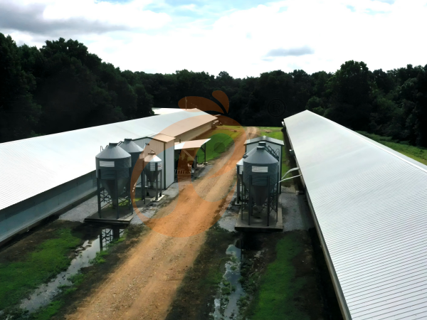 large poultry farm house (5)