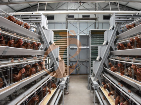 Feed Mill Efficiency | Key Factors Affecting Poultry Production