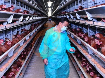 Start Poultry Farm 2026: 7 Tips To Reduce Costs And Manage Operational Expenses
