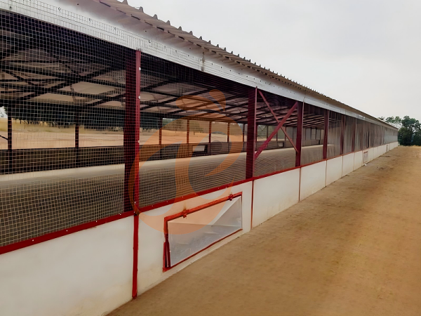 Prefab steel poultry house (9)