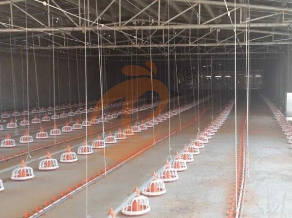 deep litter system (2) deep litter system (2)