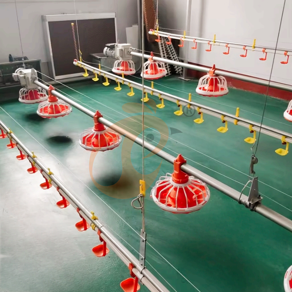 deep litter system 1 (1) deep litter system 1 (1)