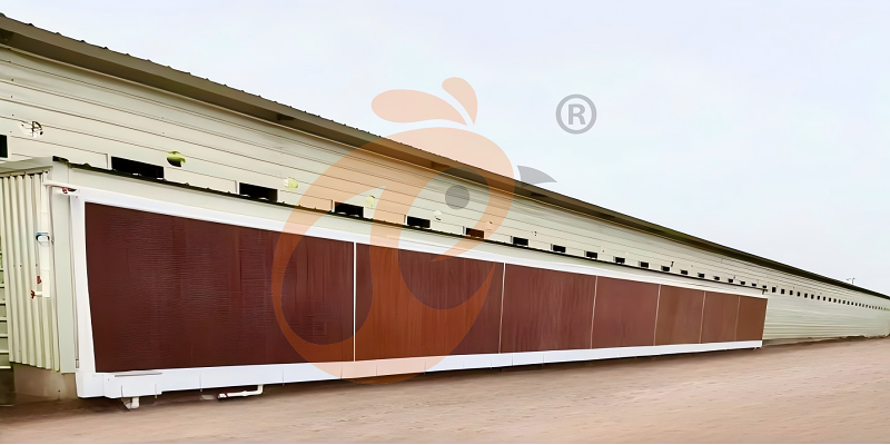 poultry house ventilation (2) poultry house ventilation (2)