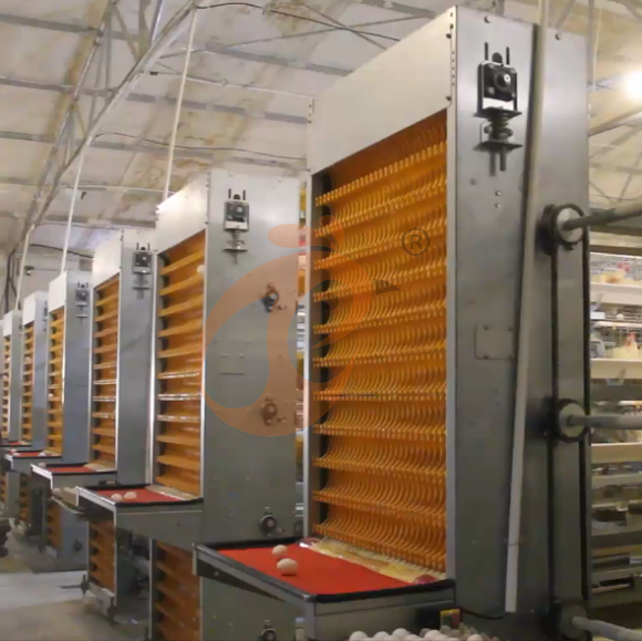 layer battery cage system (8)