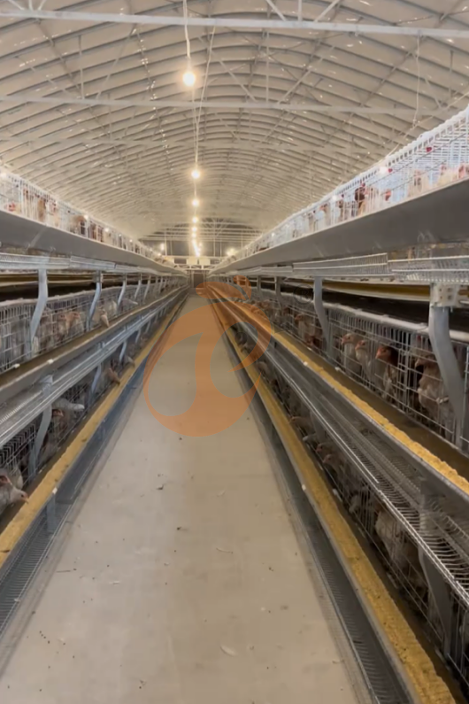 layer battery cage system (9) layer battery cage system (9)