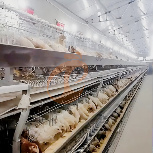 layer battery cage system (6) layer battery cage system (6)