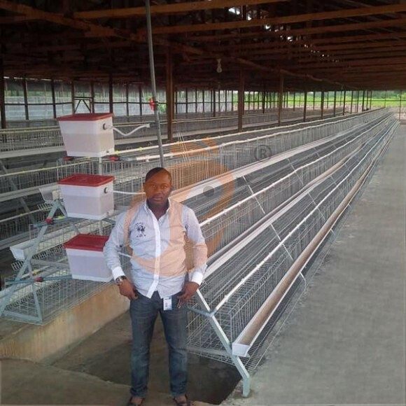 layer battery cage system (2) layer battery cage system (2)