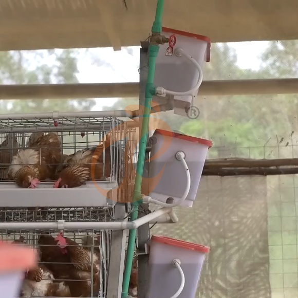 layer battery cage system (6) layer battery cage system (6)