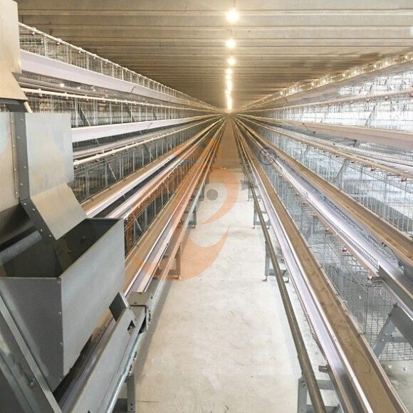 layer battery cage system (1)