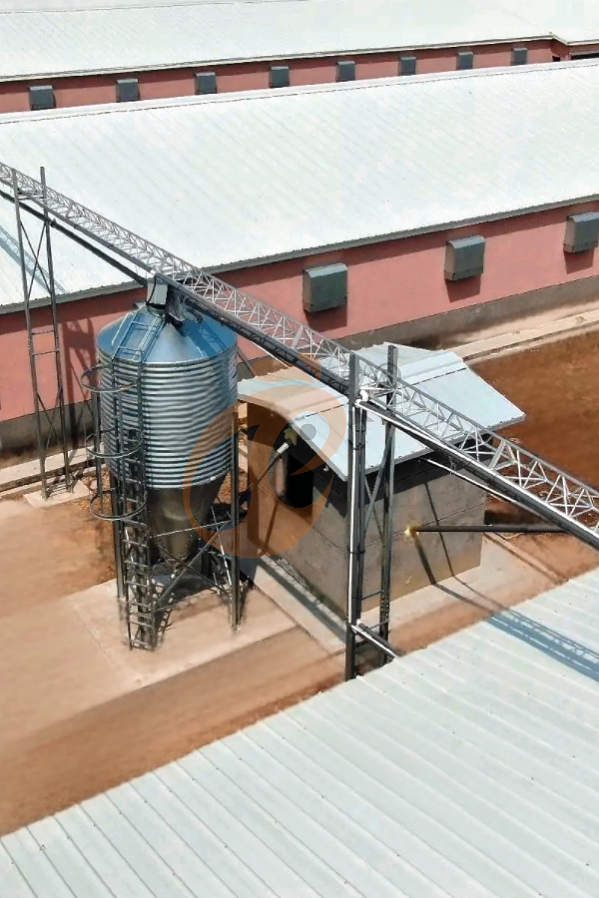 broiler battery cage system with harvest (10) broiler battery cage system with harvest (10)