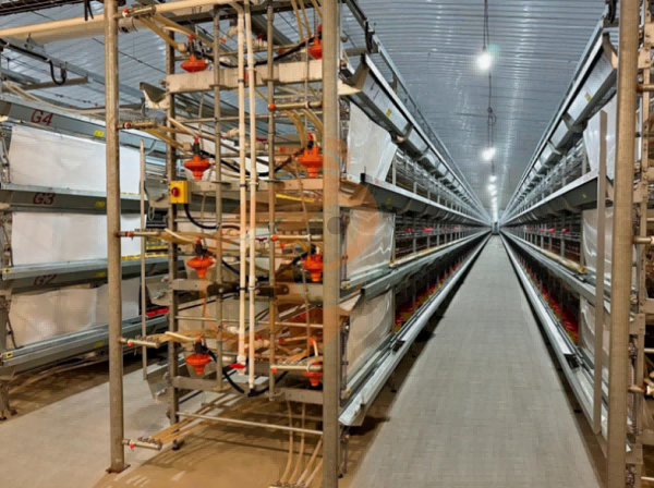 broiler battery cage (8) broiler battery cage (8)