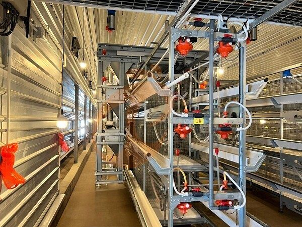 broiler battery cage (5) broiler battery cage (5)
