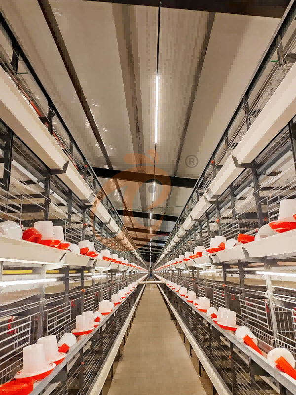 broiler battery cage (1) broiler battery cage (1)