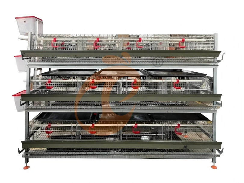 Semi Automatic H Frame Broiler Chicken Cage For Sale