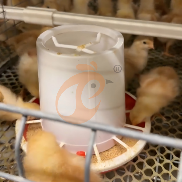 brooder battery cage system (4) brooder battery cage system (4)