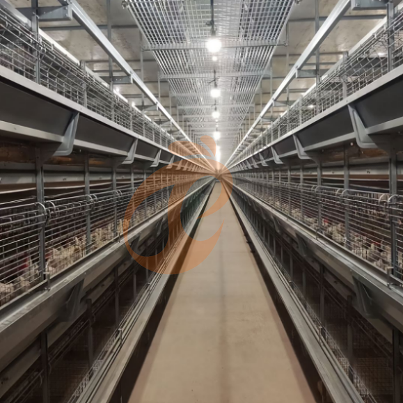 brooder battery cage system (2) brooder battery cage system (2)