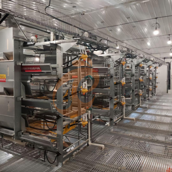 brooder battery cage system (3) brooder battery cage system (3)
