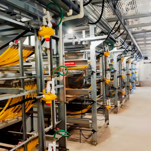 brooder battery cage system (13) brooder battery cage system (13)