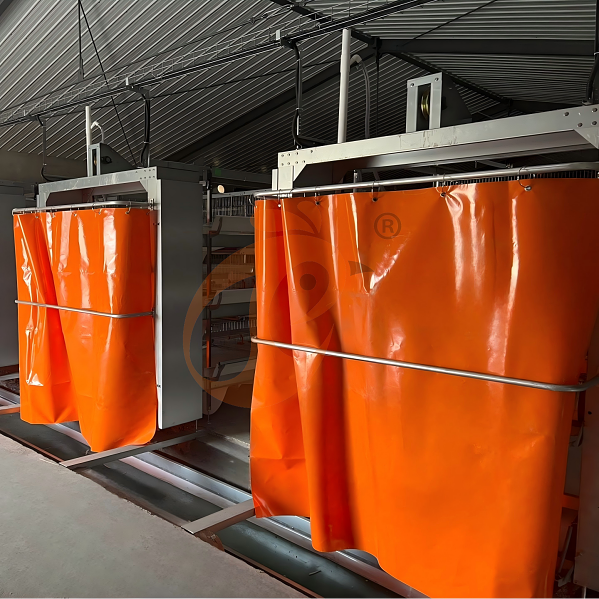 Battery cage system for brooder (20) Battery cage system for brooder (20)