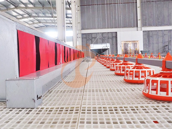 Floor Rearing System Maintenance Cost | 6 Factors Affecting Long-Term Use