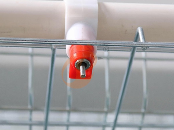 Automatic Poultry Water System Buying Guide: Price, Cleaning & Frequently Asked Questions