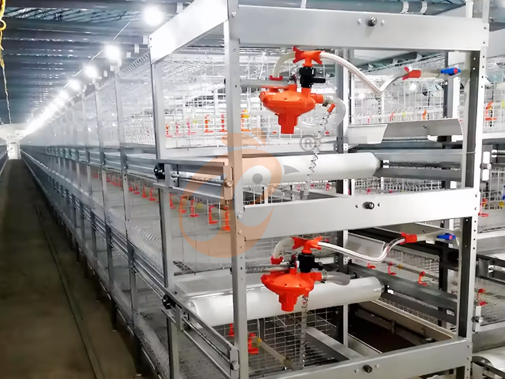 Automatic Poultry Water System Buying Guide: Price, Cleaning & Frequently Asked Questions
