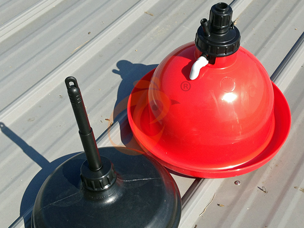 How To Use Pralson Feeders | 6 Practical Steps For Chicken Farms