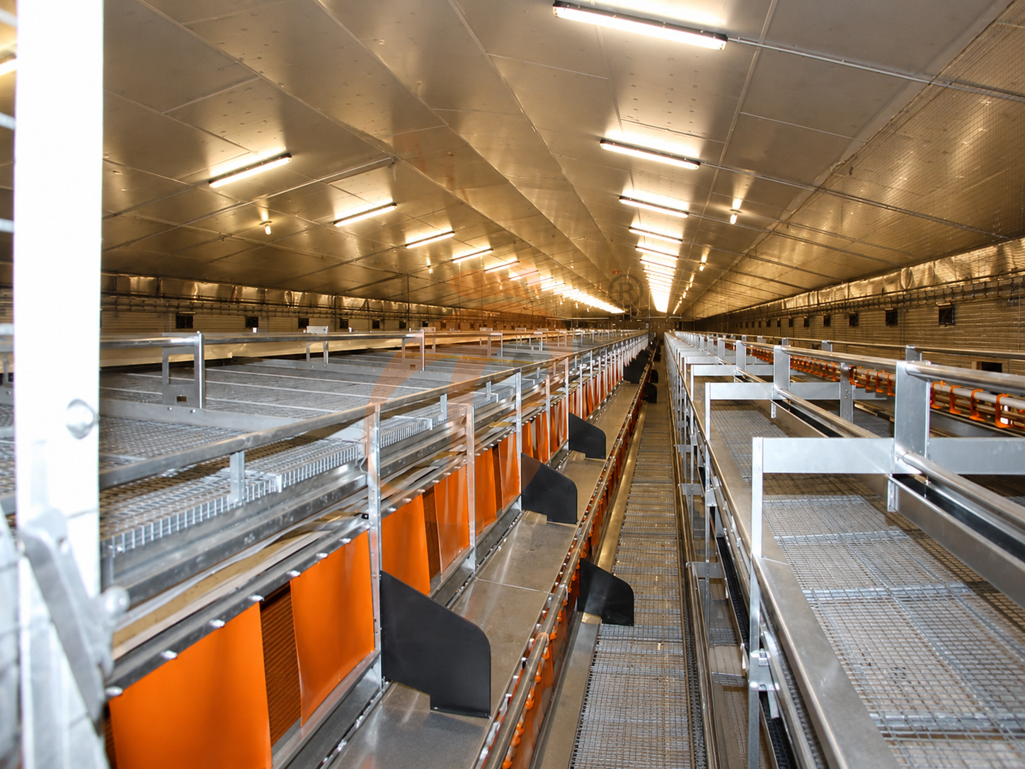 Poultry Farm Equipment Catalogue | 6 Practical Selection Tips