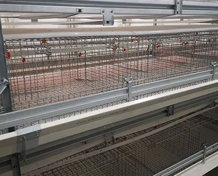 8 benefits of broiler chicken in poultry farm 8 benefits of broiler chicken in poultry farm