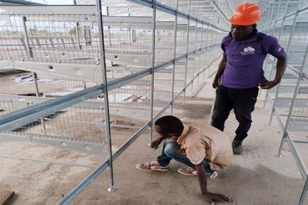 Full Automatic Layer Farm Project In Angola
