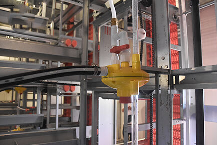 Layer Project With Automatic Systems In Anyang, Henan Province